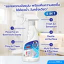 Captain Maid customer